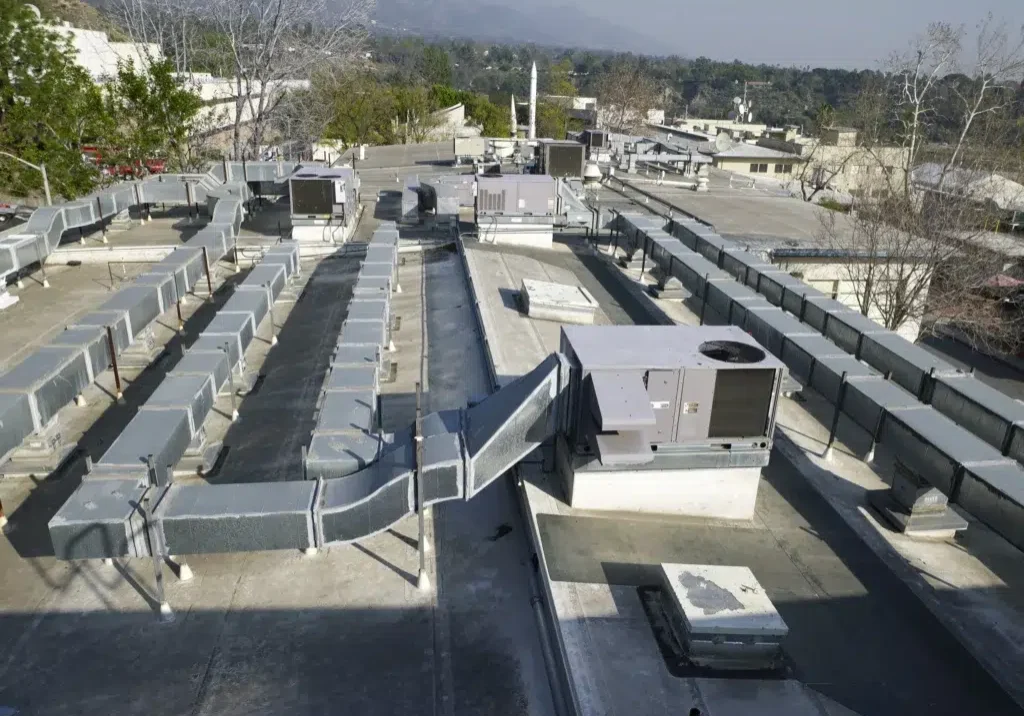 img-6489d30710c53c7ee3725faf