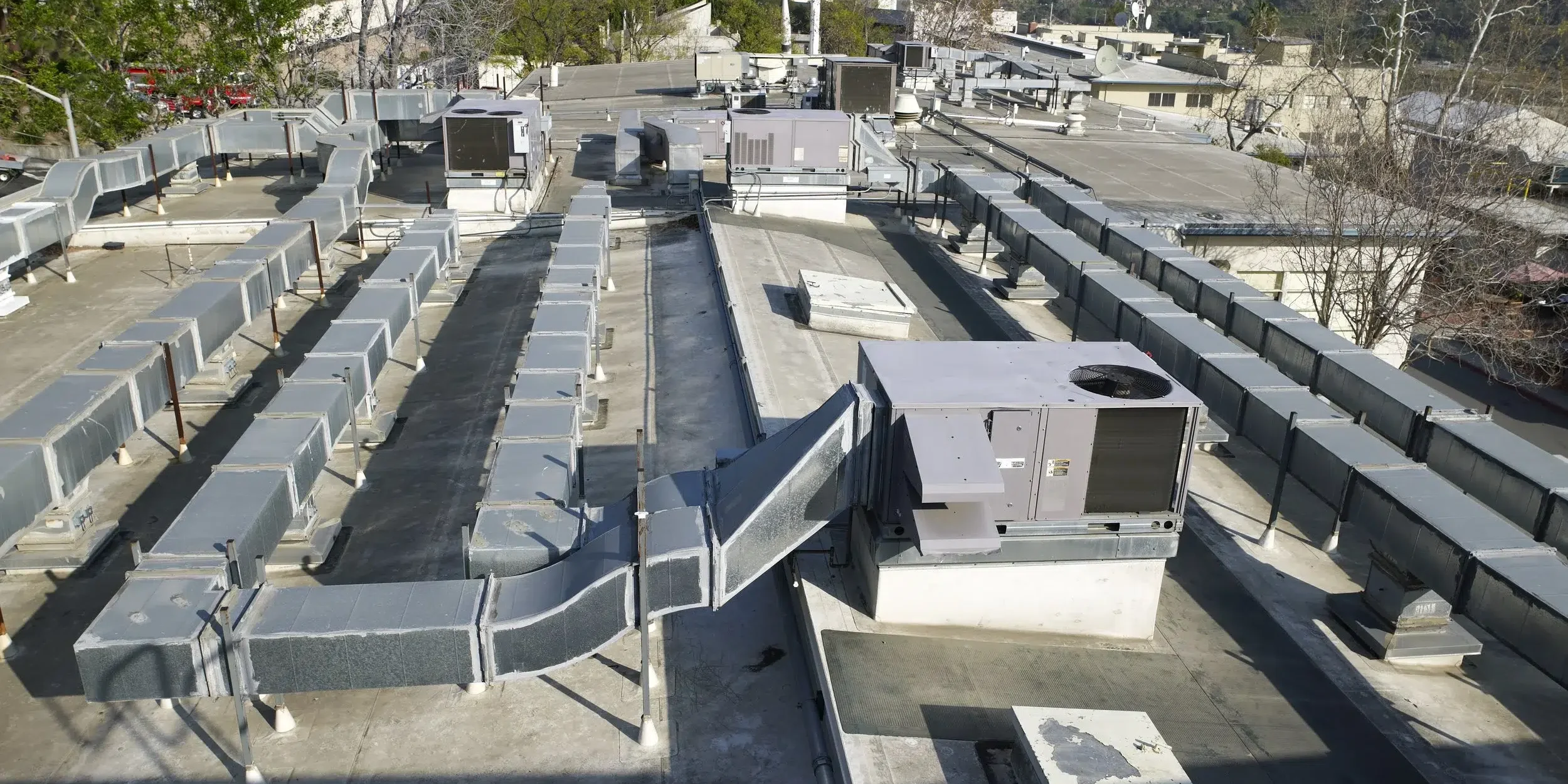 img-6489d30710c53c7ee3725faf